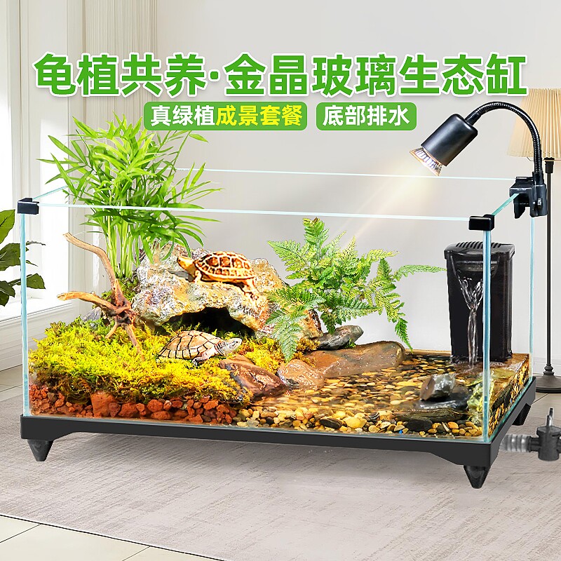 乌龟饲养缸生态造景家用玻璃鱼缸图片