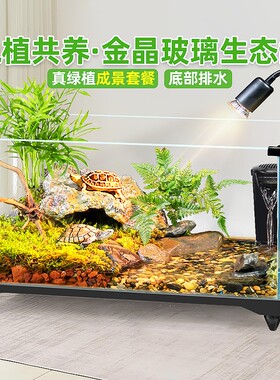 乌龟饲养缸生态造景家用玻璃鱼缸