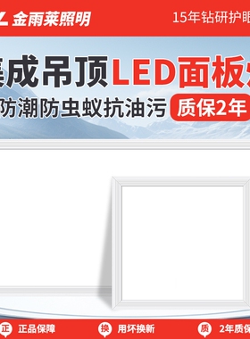 金雨莱平板灯300x600led厨房集成吊顶灯无边框铝扣板30×60厕所灯