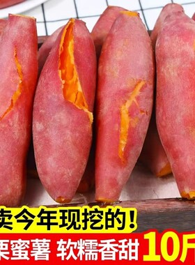 板栗新鲜红薯地瓜蜜薯9斤沙地番薯粉糯包邮自种山芋自提山药黄心