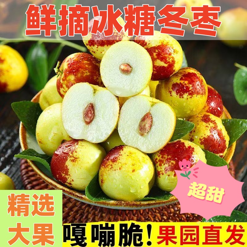正宗冬枣脆甜新鲜大果应季整箱枣子现摘脆枣冰糖大枣5斤当季水果