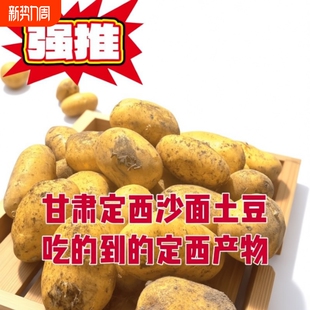甘肃定西土豆洋芋新鲜现挖马铃薯农家种高淀粉农场发芽大果