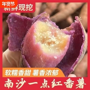 正宗广东南沙一点红番薯新鲜现挖冰淇淋红薯板栗农家自种蜜薯沙地