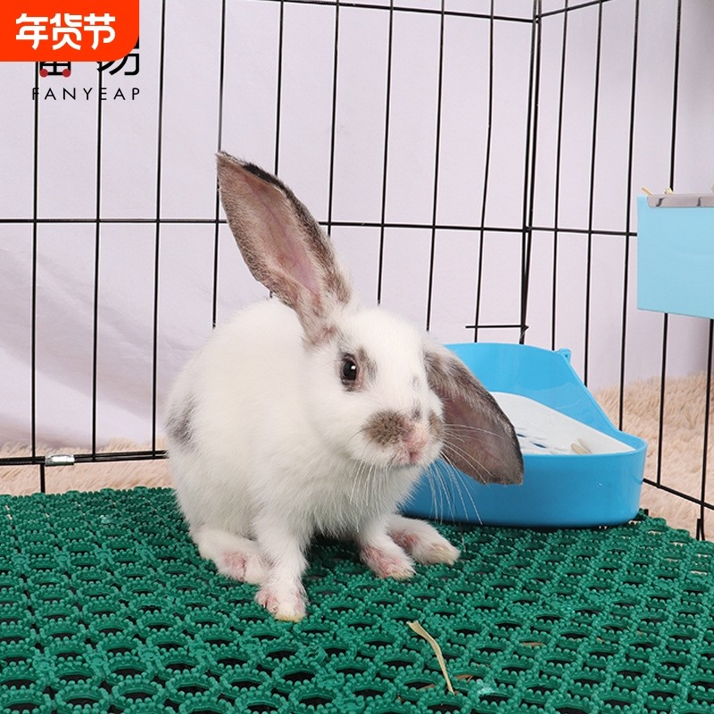 兔子脚垫A1vo001-宠物可裁剪垫脚板笼子踏板咬拼接可弯曲塑,宠物/宠物食品及用品,兔兔脚垫,淘宝优惠券,粉丝福利购,淘宝优惠卷