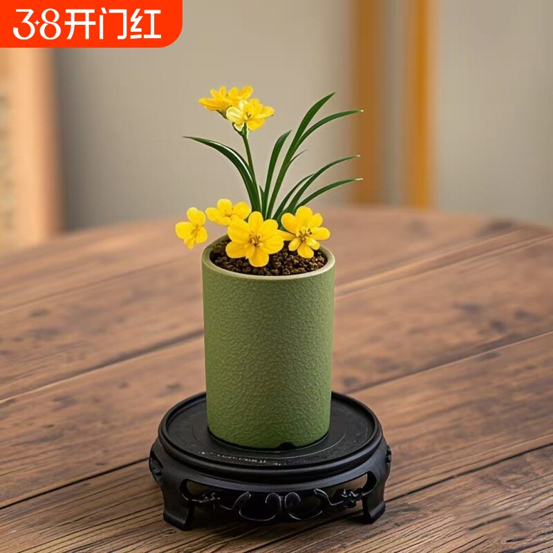 迷你文人草麦冬盆栽盆景驱蚊室内绿植花卉桌面办公室好养植物四季