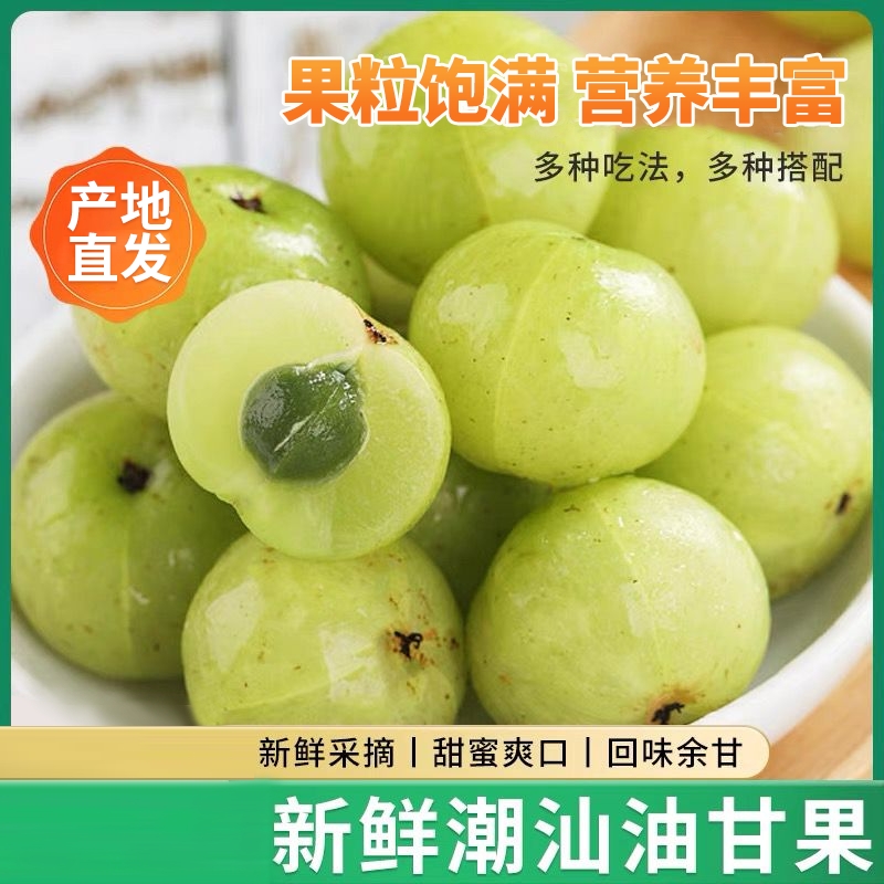 【爆款推荐】潮汕油柑