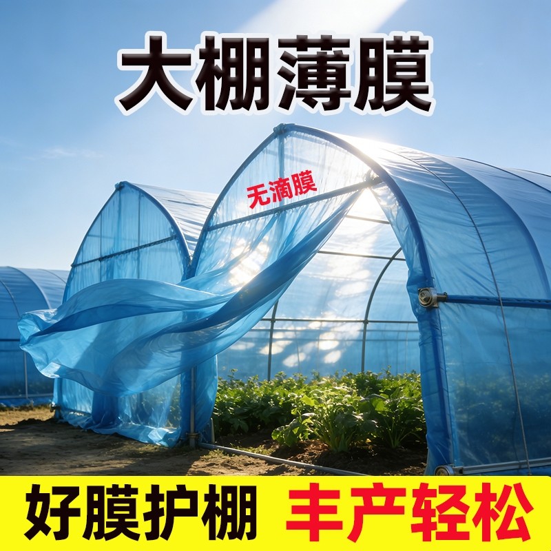 大棚薄膜塑料膜加厚透明塑料布农用蔬菜专用保温2026年新款无滴膜