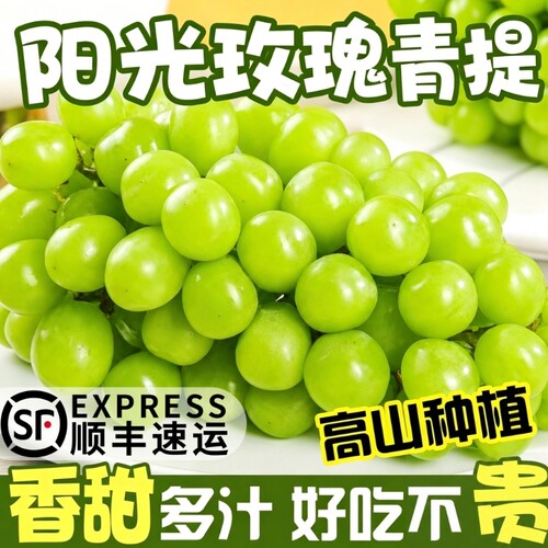 阳光玫瑰葡萄新鲜水果晴王葡萄无籽香印提子青提当季整箱顺丰