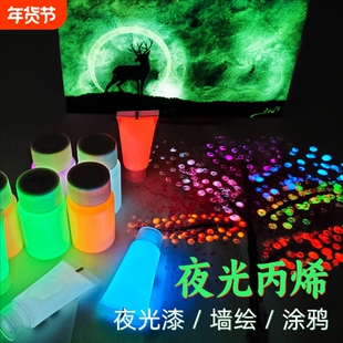 荧光粉夜光漆发光防水丙烯绘画颜料环保乳胶长效艺术涂料