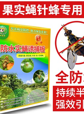 瓜果实蝇粘胶板针蜂贴杀果苍蝇蜜锋诱捕器果园菜园大棚黄色粘虫板