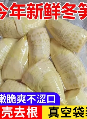 竹笋新鲜冬笋2025新鲜野生竹笋水煮笋春笋清水笋楠竹笋蔬菜火锅