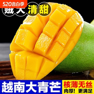 越南大青芒净重4.5斤！单果半斤+