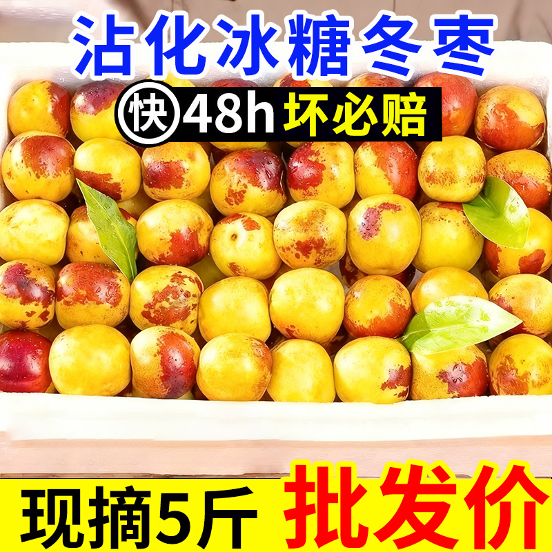 【爆甜】正宗山东滨州沾化冬枣现摘脆红枣甜枣子甜枣新鲜水果批发