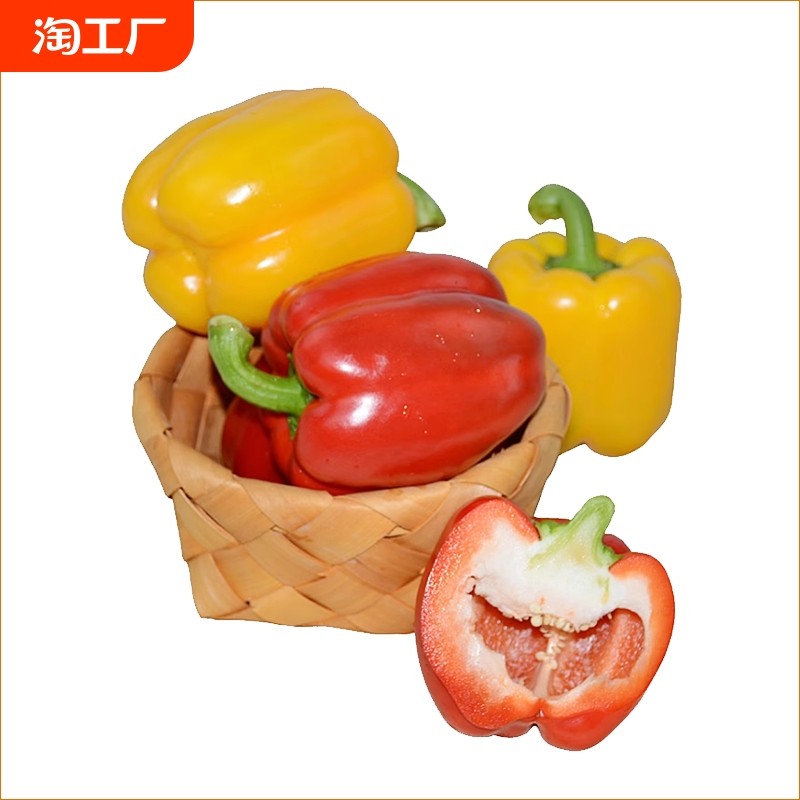 ���ڲ�����500g ����̲ʽ�500g ������ ������ ����Բ�� ɳ���߲�ʳ��ɽ���ٹ�