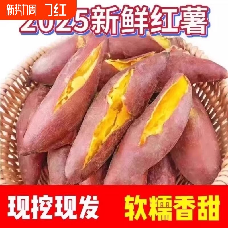 正宗蜜薯龙九沙地红心现挖黄心番薯新鲜糖心地瓜板栗红薯山芋批发