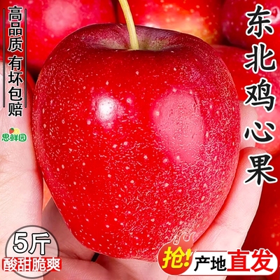 酸甜爽口正宗东北鸡心果产地直发