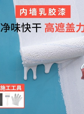 乳胶漆室内家用彩色自刷内墙漆墙面漆白色卧室毛胚修补背景墙蓝色