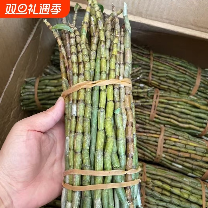 云南新鲜铁皮石斛鲜条食用滋补仿野生种植2-7年生现剪现发