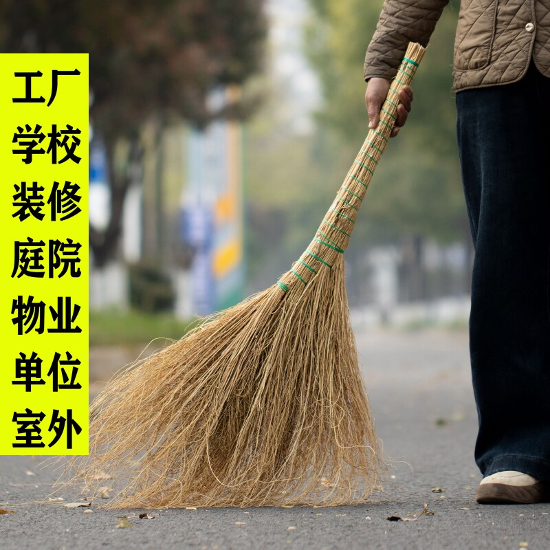 铁扫把草扫把地肤草金丝草大铁扫帚工地笤帚庭院马路室外