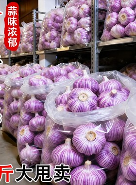 山东金乡紫皮大蒜头干蒜农家蔬菜