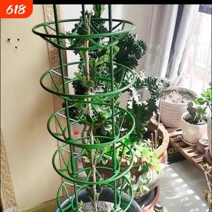 花卉支架蟹爪兰花架昙花开口爬藤架支撑架通用