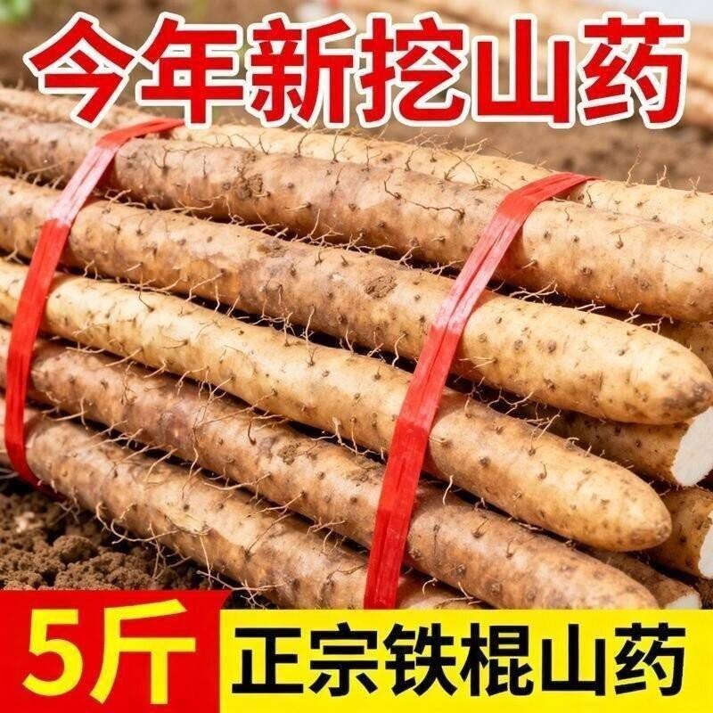正宗河南焦作温县垆土铁棍山药新鲜现挖粉糯怀淮山生铁杆包邮甘甜图片
