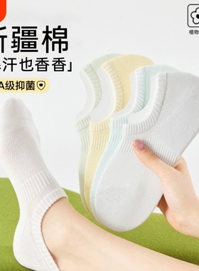 船袜女浅口隐形袜防滑不掉跟夏薄款网眼透气短棉袜子女士白色黑色