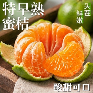 云南蜜橘新鲜水果桔子特早熟无籽橘子整箱当季青皮桔子柑橘包邮