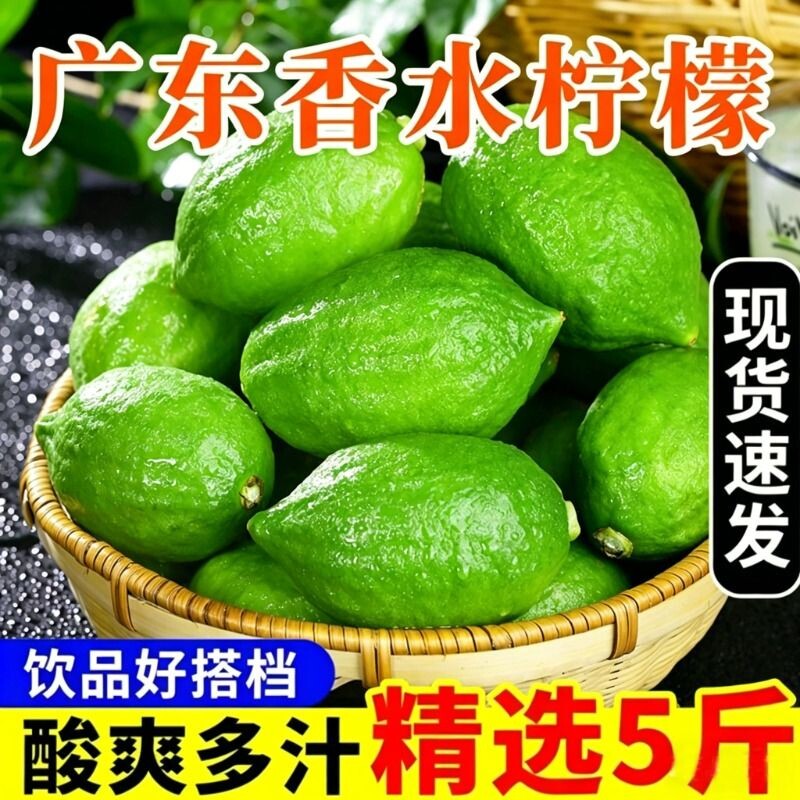 广东香水柠檬奶茶店专用新鲜正宗青柠檬无籽一级果水果香柠檬鲜果