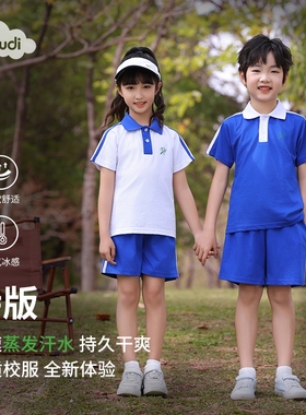 深圳校服小学夏季短袖短裤索罗娜透气运动套装实验蓝色速干学校