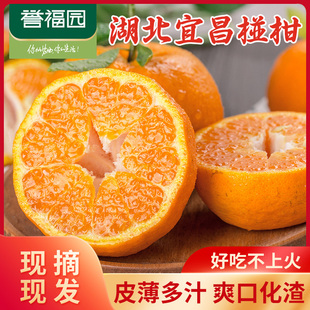 湖北丑柑椪柑9斤新鲜水果当季橘子芦柑直发产地现摘整箱包邮