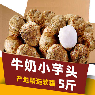 正宗牛奶芋头新鲜芋艿小芋头香芋农家香甜软糯毛芋头整箱