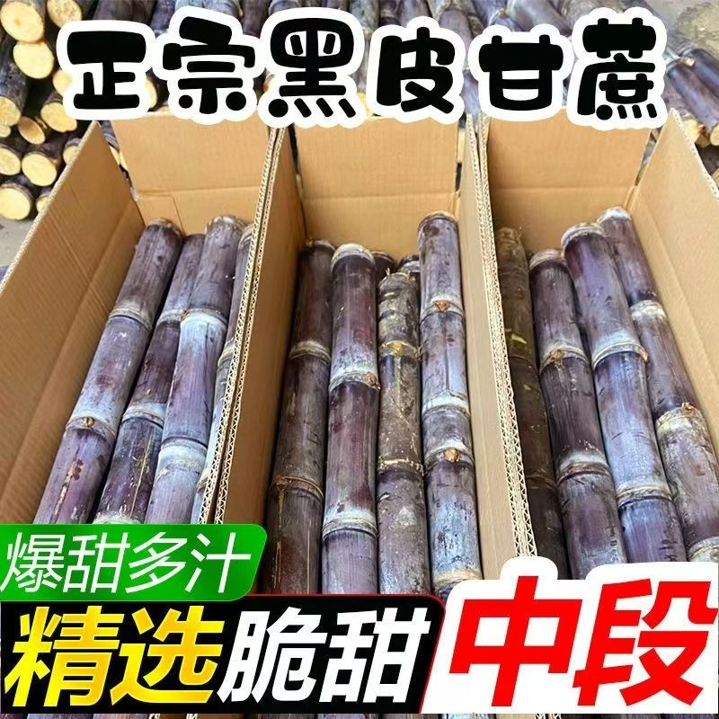 当季新鲜黑皮甘蔗南方当季现砍孕妇水果脆甜多汁新鲜水果甘甜多汁
