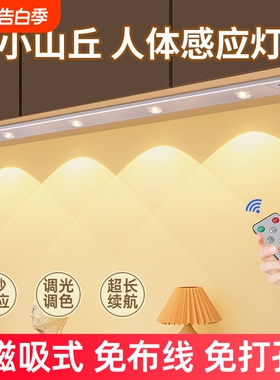 led无线自粘感应灯充电鞋柜橱柜灯酒柜衣柜灯带人体玄关厨房灯条