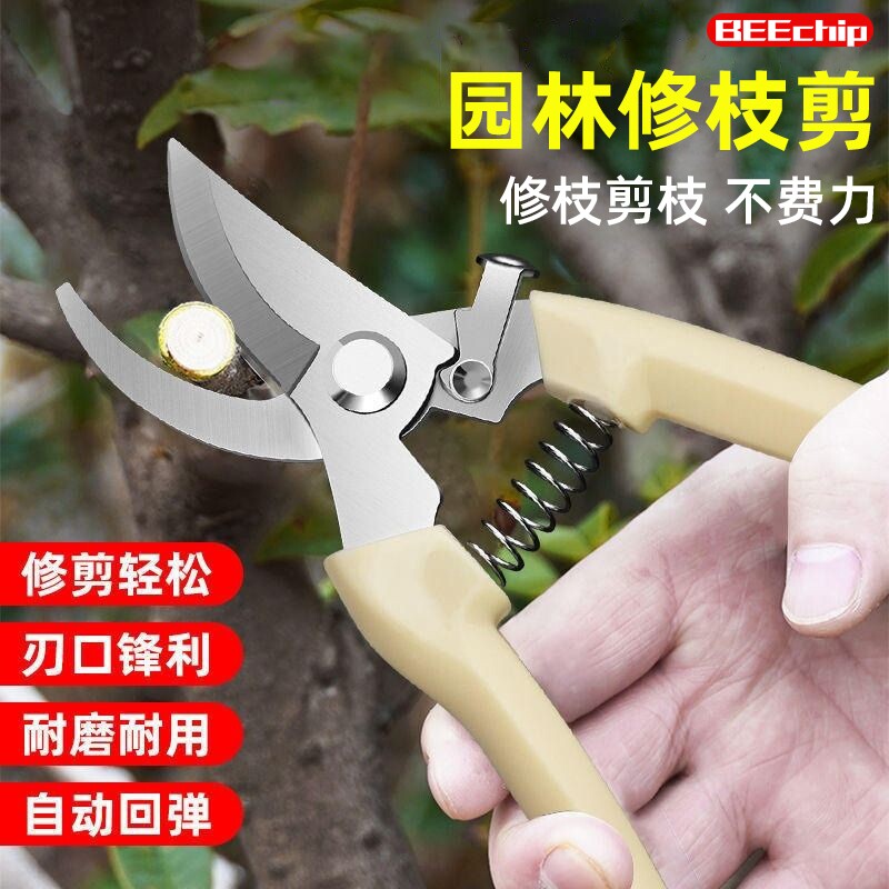 果树剪刀修枝神器摘果剪树剪花卉枝剪刀绿化嫁接园林园艺家用修剪图片