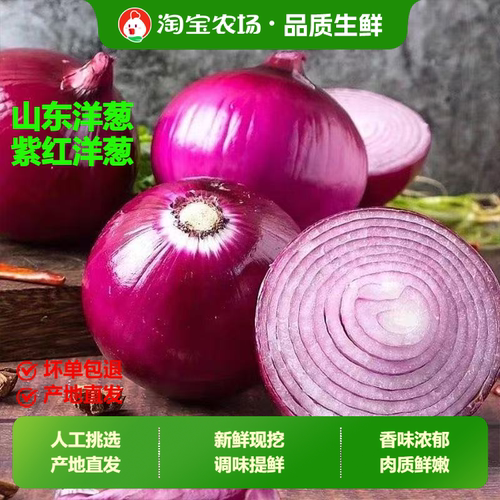 洋葱新鲜农产品甜味凉拌生吃脆甜紫扁圆农家自种食用农场当季保存