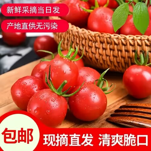 圣女果新鲜云南小番茄樱桃小西红柿生吃应季水果自提自然熟清甜