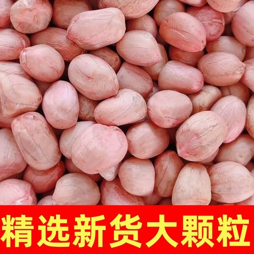 河南南阳大白沙生花生仁花生米 优质无壳生晒无硫 批发价