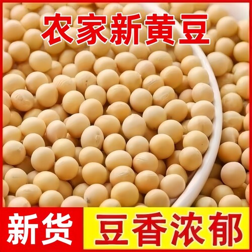农家黄豆干货打豆浆专用大豆新货自种批发腐竹做豆腐优质饱满