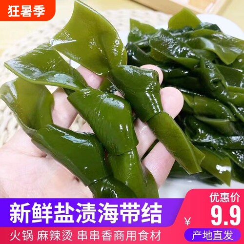 霞浦新鲜盐渍海带厚实昆布火锅