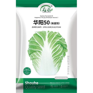 华阳50大白菜种子子籽种大全黄白莱夏阳小义和秋四季耐热蔬菜种