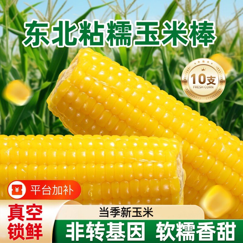 新货黄糯玉米真空包装新鲜黏玉米棒粘苞谷粗粮主食低脂