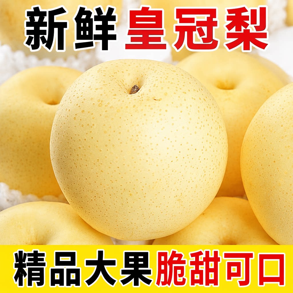 河北赵县皇冠梨大白梨图片
