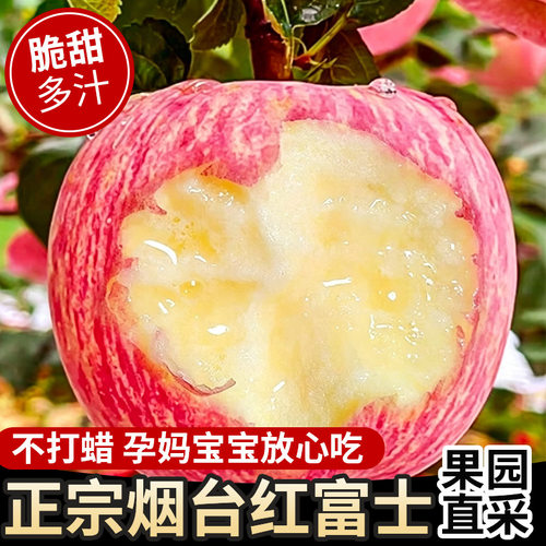 烟台红富士苹果当季孕妇新鲜水果脆甜整箱栖霞正宗产地直发现摘