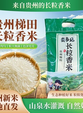 贵州梯田长粒香米大米当季新鲜细非长猫牙长粒香大米现磨农家米