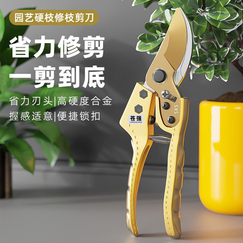 园艺剪刀剪树枝专用剪刀德系精工艺修枝剪果树剪花园林园艺弹簧图片