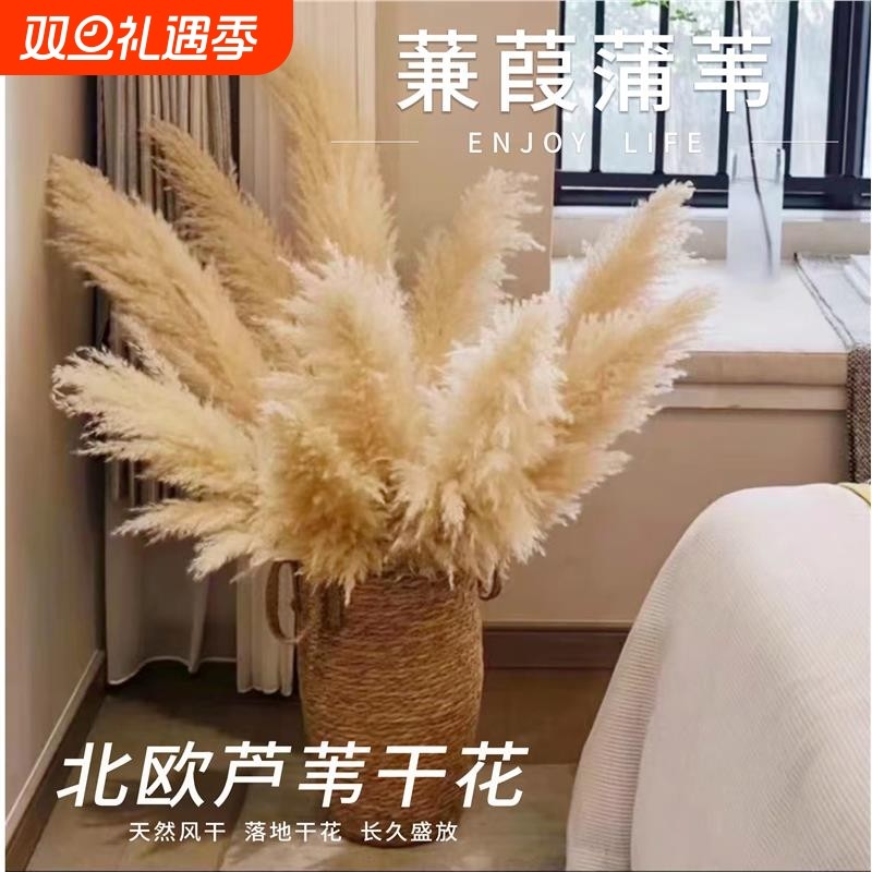 客厅芦苇干花麦穗装饰大蒲苇落地天然摆件道具粉永生花束风干卧室