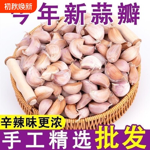 新鲜蒜瓣手剥蒜种子今年新蒜干可吃可种带皮旗舰店精选优质
