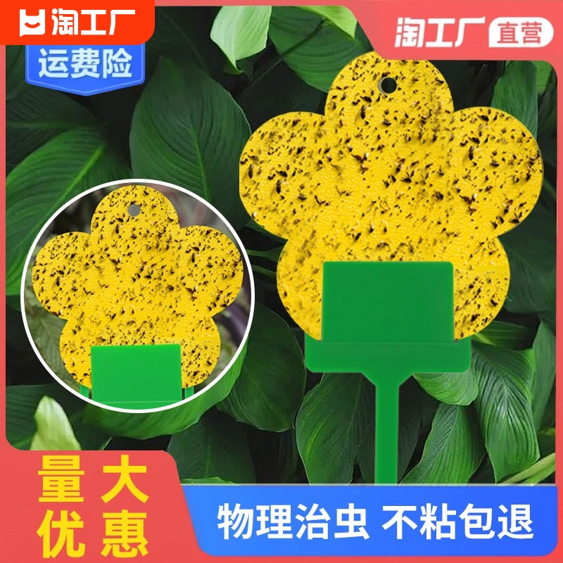 花型粘虫板双面家用花卉粘虫纸黄色果蝇诱虫板诱捕器花园 鲜花速递/花卉仿真/绿植园艺 其它园艺用品 原图主图