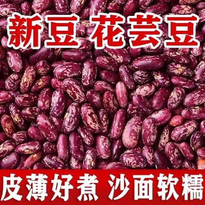 促销2特价贵州红花芸豆包豆馅大碴子粥大红花饭豆花腰豆花花豆